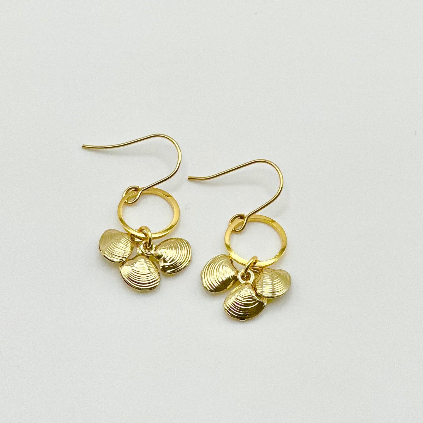 Hoop + Shell Earrings