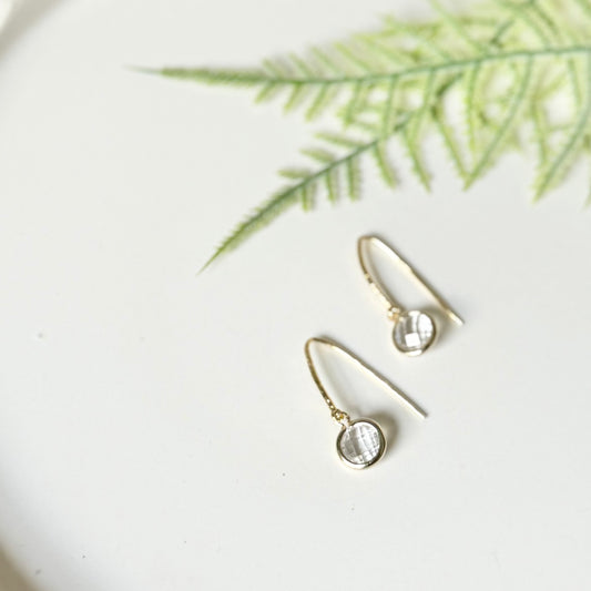 Fish Hook + Crystal Earrings | Gold